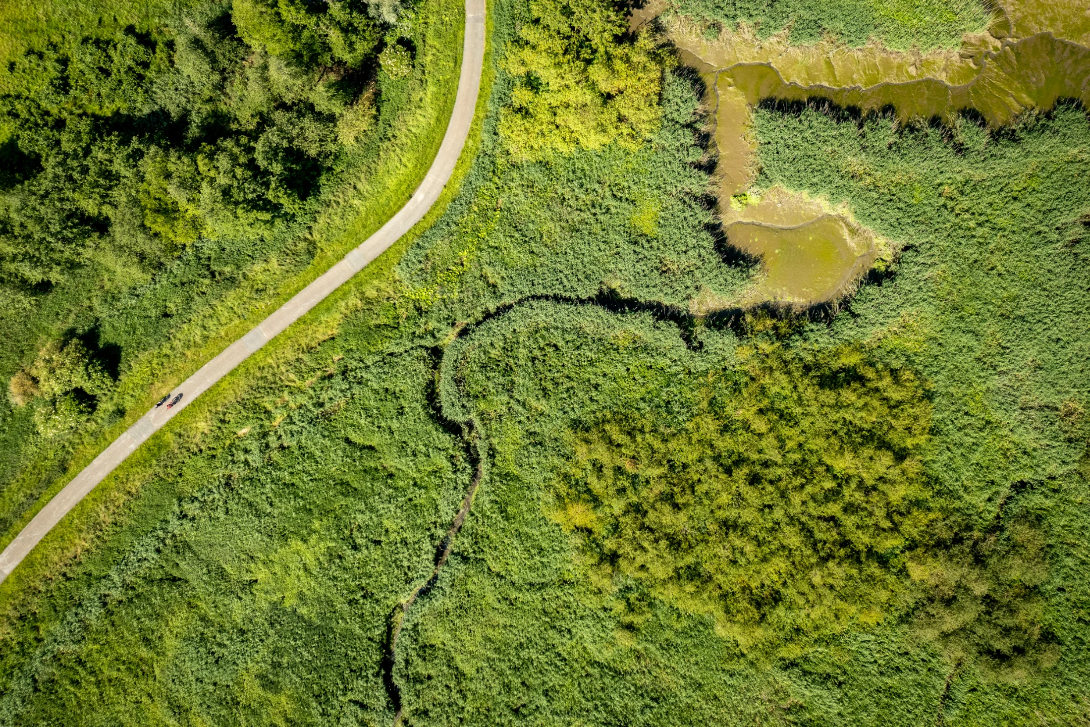Wandel- en fietstoerisme Durm Hamme-Tielrode
