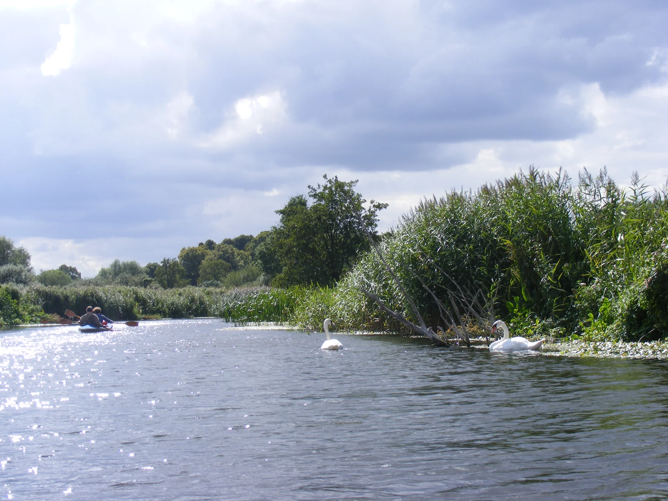 Toerisme Temse-Waasmunter
